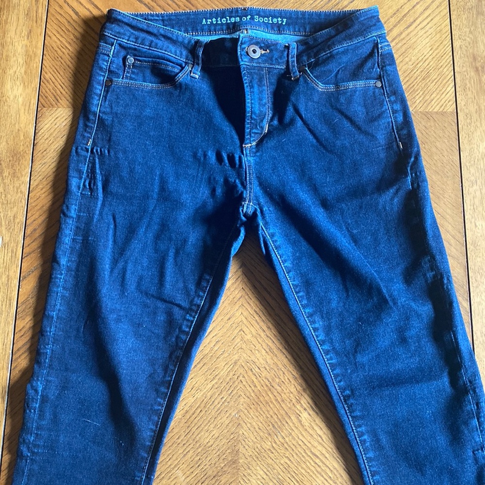 Articles of Society Jeggings. Size 29